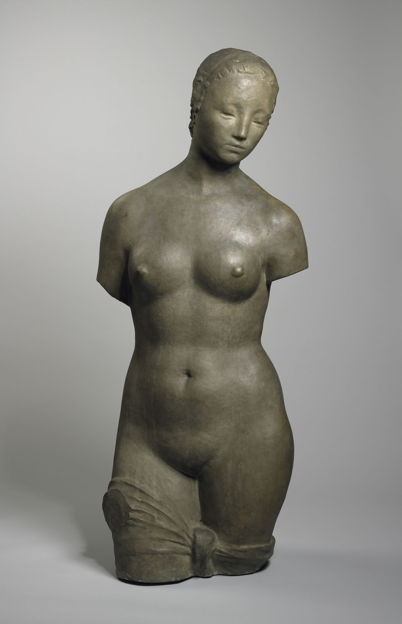 Torso of a Young Woman