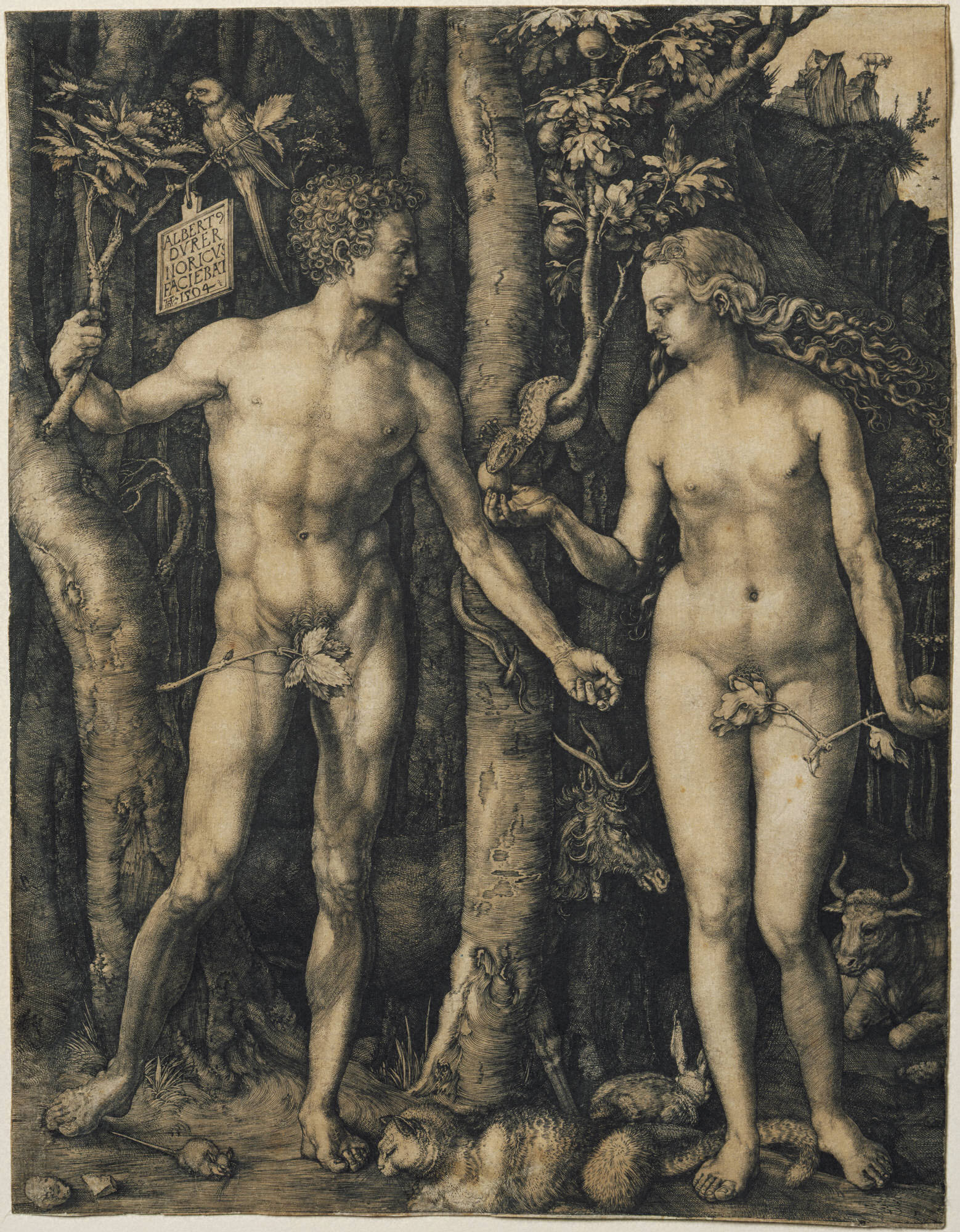 Adam and Eve